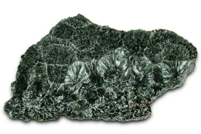 Polished Seraphinite Slab - Korshunovkiy Mine, Siberia #354242